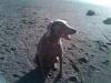 IMG00159-20101114-1516 (Large)